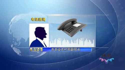 龍偉食品部門服務專員 精準服務與大走訪解決發展難題