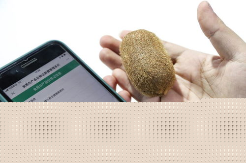 新華全媒 | 創(chuàng)新科技閃耀數(shù)博會(huì)，信息咨詢(xún)服務(wù)開(kāi)啟智慧未來(lái)新篇章